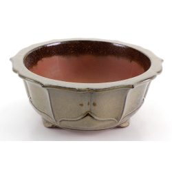 Maceta bonsái CHN12B vista 2