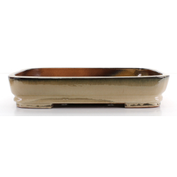 Bonsai pot CHI44A