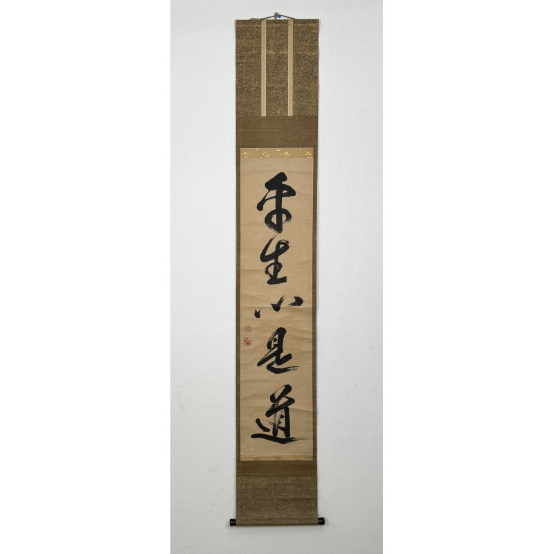 Kakemono pintura antigua japonesa 131 caligrafía