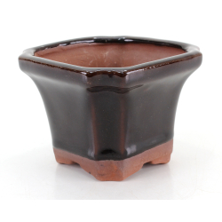 Bonsai pot GAS022-2N10