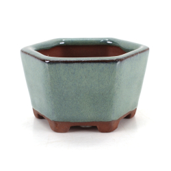 Bonsai pot GAS022-2N8
