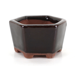 Bonsai pot GAS022-2N9