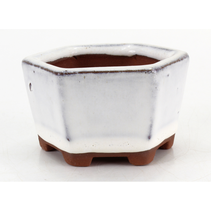 Bonsai pot GAS022-2N2