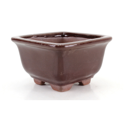 Bonsai pot GAS022-2N6