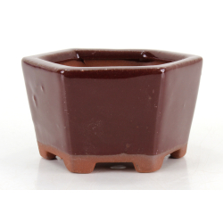 Bonsai pot GAS022-2N7