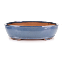 Bonsai pot CCHXT04