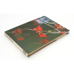 Libro exposición Kokufu 48 -1974- (B) vista 2