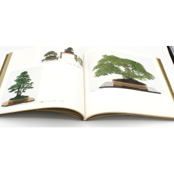 Book 4th Ichiki Exhibition 1979 view 2