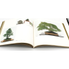 Book 4th Ichiki Exhibition 1979 view 2