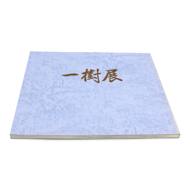 Libro 10ª exposición Ichiki 1985