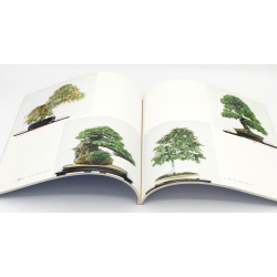 Book 10th Ichiki Exhibition 1985 view 2