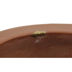 Bonsai pot JTA8700 AKIRA SHOUZAN JUKOSAN view 5