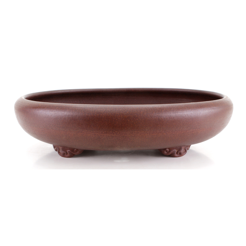Bonsai pot JTA8778 TAZAN