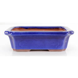 Bonsai pot GAS101-31