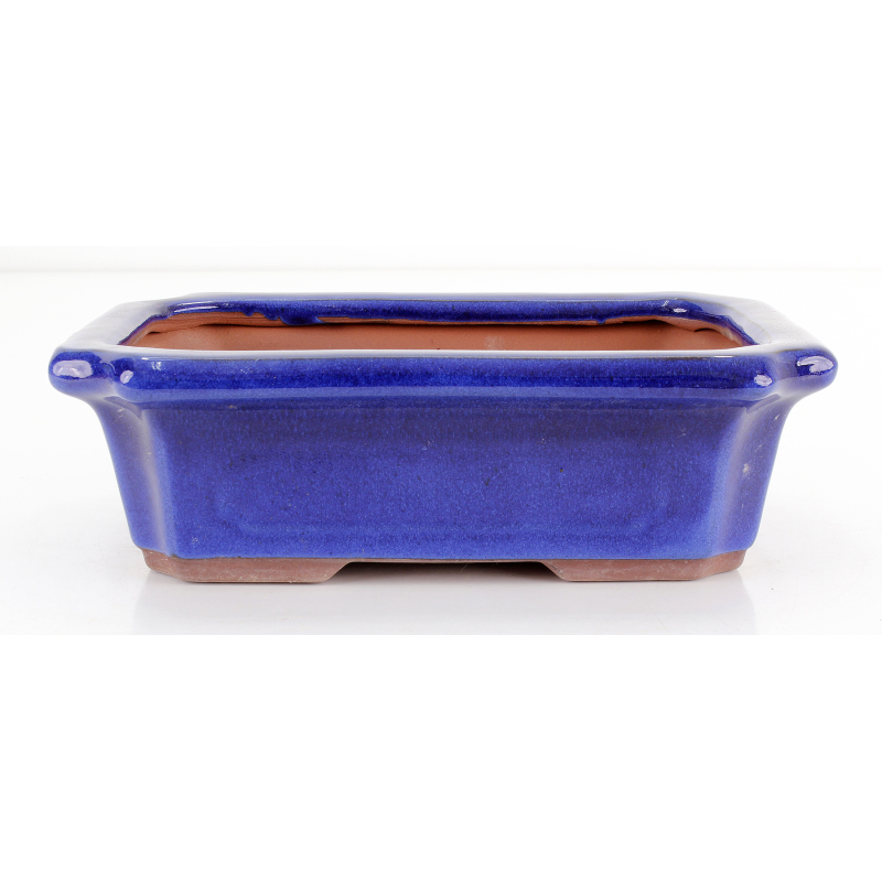 Bonsai pot GAS101-31