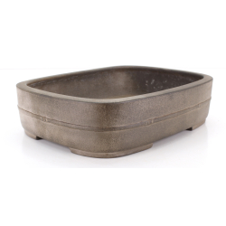 Bonsai pot JTA8816 KOYO KOUICHIROU view 2