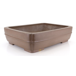 Bonsai pot JTA8817 REIHOU REIJI view 2