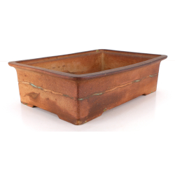 Bonsai pot NAU419 PRAVOSLAV DORDA view 2
