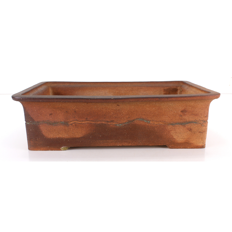 Bonsai pot NAU419 PRAVOSLAV DORDA