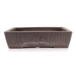 Maceta bonsái JTA6813 YAMAAKI SHOUSEN