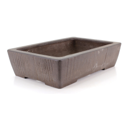 Bonsai pot JTA6813 YAMAAKI SHOUSEN view 2