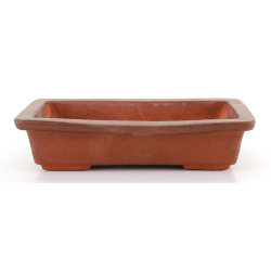 Maceta bonsái JTA8722 YAMAAKI SHOUSEN