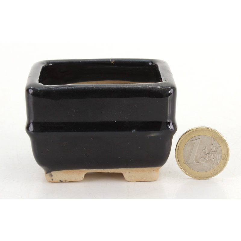 Bonsai pot JTA8745 TOSUI MASAO