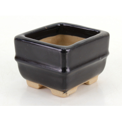 Bonsai pot JTA8745 TOSUI MASAO view 2