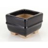 Bonsai pot JTA8745 TOSUI MASAO view 2