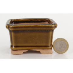 Bonsai pot JTA8746 TOSUI MASAO