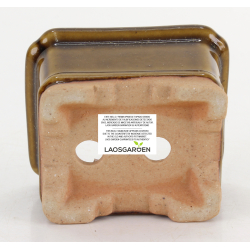 Maceta bonsái JTA8746 TOSUI MASAO vista 3