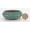 Bonsai pot JTA8749 TOSUI MASAO