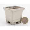 Bonsai pot JTA8748 TOSUI MASAO