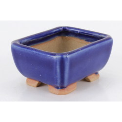 Maceta bonsái JTA8744 TOSUI MASAO vista 2