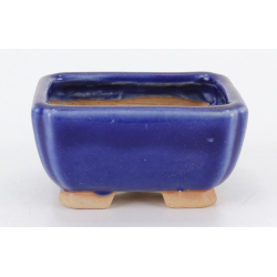 Bonsai pot JTA8744 TOSUI MASAO
