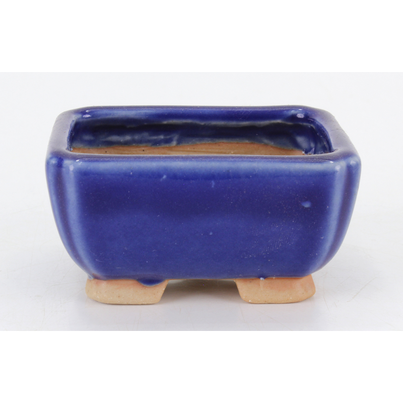 Maceta bonsái JTA8744 TOSUI MASAO