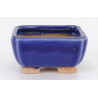 Bonsai pot JTA8744 TOSUI MASAO