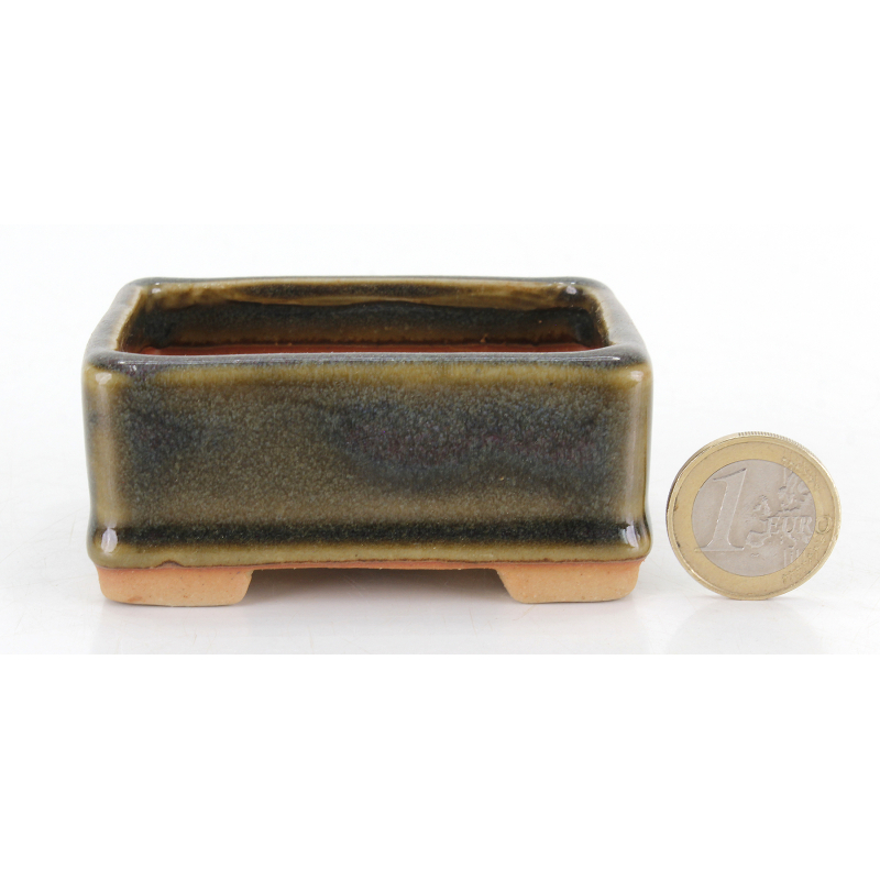 Maceta bonsái JTA8743 TOSUI MASAO