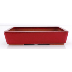 Bonsai pot JTA8718 YOUZAN MASAKAZU