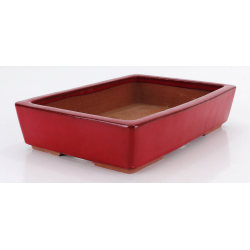 Bonsai pot JTA8718 YOUZAN MASAKAZU view 2