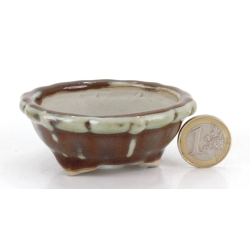Bonsai pot JTA8751 TOSUI MASAO