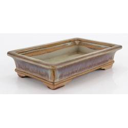 Maceta bonsái JTA8753 TOSUI MASAO vista 2