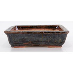 Bonsai pot NAU414 GUERAO NAVARRO