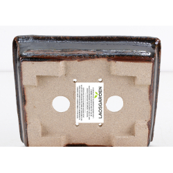 Bonsai pot NAU413 NAU414 GUERAO NAVARRO view 3