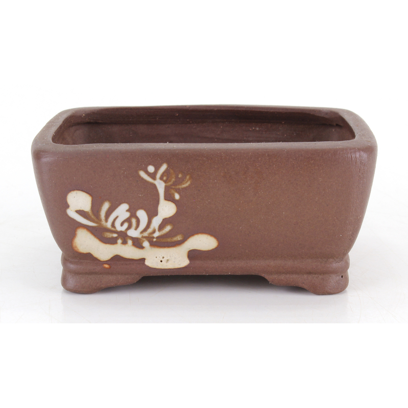 Maceta bonsái JTA8757 TOSUI MASAO