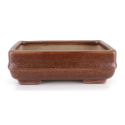 Bonsai pot JTA8754 TOSUI MASAO