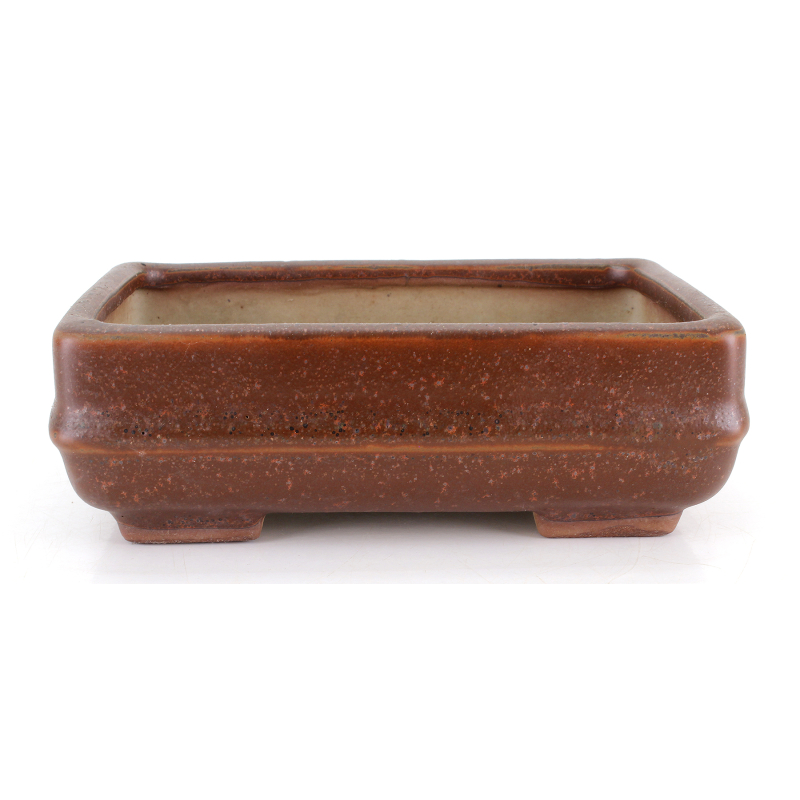Bonsai pot JTA8754 TOSUI MASAO