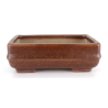 Maceta bonsái JTA8754 TOSUI MASAO