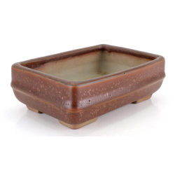 Bonsai pot JTA8754 TOSUI MASAO view 2
