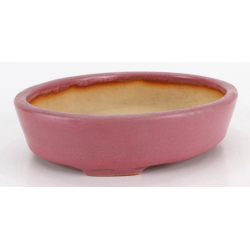 Maceta bonsái JTA8764 SYOZAN vista 2